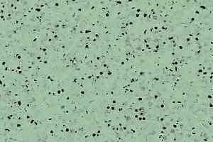 Линолеум Gerflor Mipolam Elegance El5 0355 Green фото  | FLOORDEALER